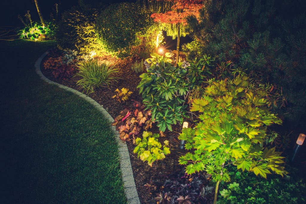 illuminated backyard garden with outdoor lighting lining the pathway