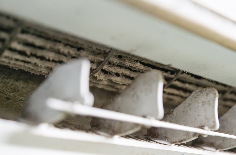 Simple HVAC Tips to Prevent Mold In Your Farmington Hills Home
