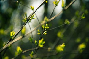 Blog Thumbnail