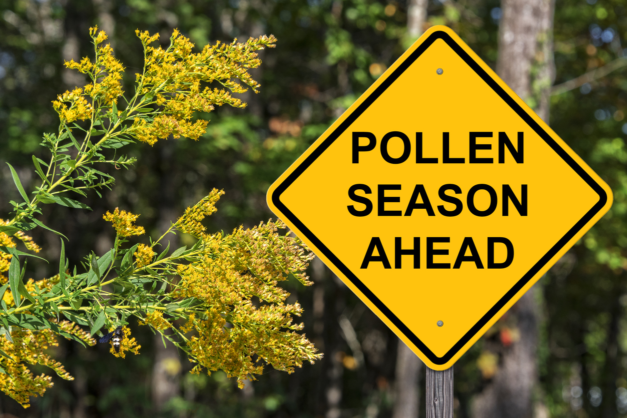 Reducing the Effects of Spring Pollen in Your Michigan Home