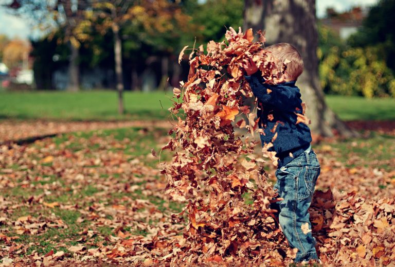 What No One Tells You About Raking Leaves and Your Furnace