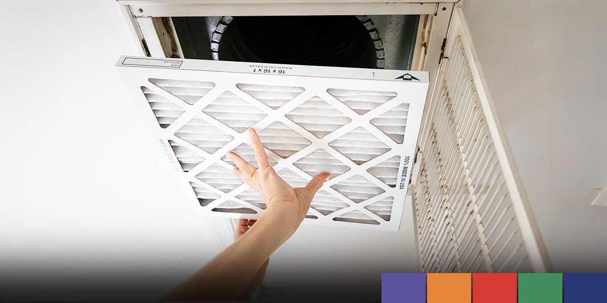 Is Something Living in Your Vents? Spot and Solve Animal Intrusions in Your HVAC System